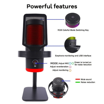 Recording Microphone, USB, Condenser, XLR, Podcast for Recording and Streaming