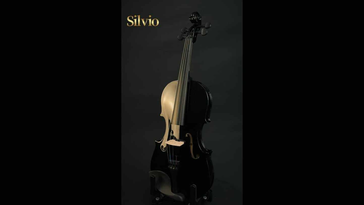 Full Size 4/4 Violin Kit, Black Beginner Violin with Hard Case and Bows