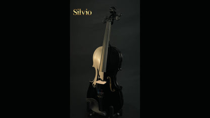 Full Size 4/4 Violin Kit, Black Beginner Violin with Hard Case and Bows