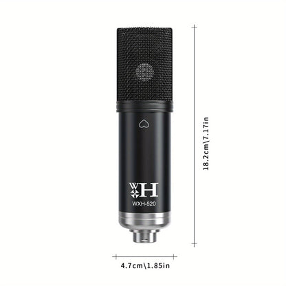 Podcast Equipment Bundle XLR Large Diaphragm Condenser Microphone with Live Sound Card Condenser Microphone Bundle for Studio Recording And Broadcasting