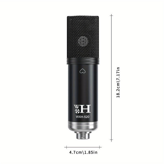 Podcast Equipment Bundle XLR Large Diaphragm Condenser Microphone with Live Sound Card Condenser Microphone Bundle for Studio Recording And Broadcasting