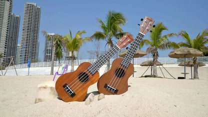 Guitar Pick Set, 21 Inch, 23 Inch, Inch, Ukulele, Beginner for Practice and Performance
