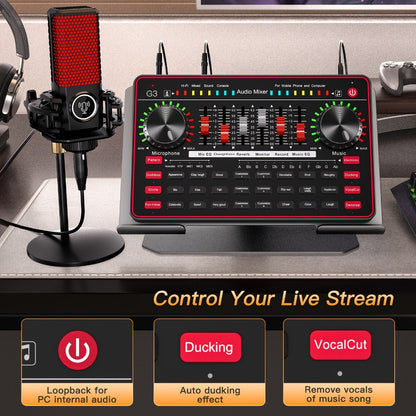 Portable Karaoke System, Wireless, USB, Podcast, Influencer, KOL for Parties and Karaoke