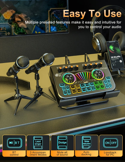 Portable Karaoke System, 36V, USB, Rechargeable, Professional, Podcast for Parties