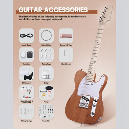 Electric Guitar, DIY TL, Leo, Jaymz, Kit for Lessons and Practice for Home Practice