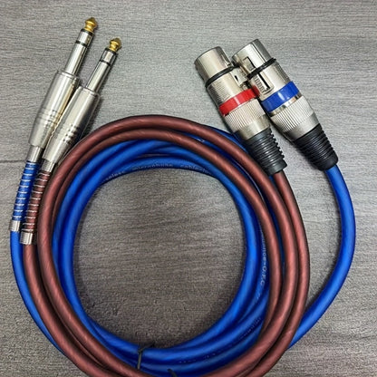 LED Stage Light, 6.5mm, 3 Feet, 2-Pack, High-Quality for Stage and Party Lighting