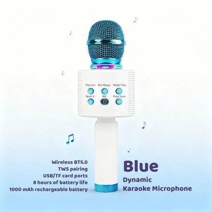 Portable Karaoke System, Rechargeable, Wireless, Limited, Time for Parties and Karaoke