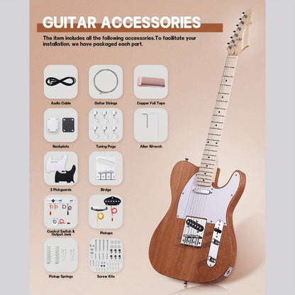 Electric Guitar, DIY TL, Leo, Jaymz, Kit for Lessons and Practice for Home Practice