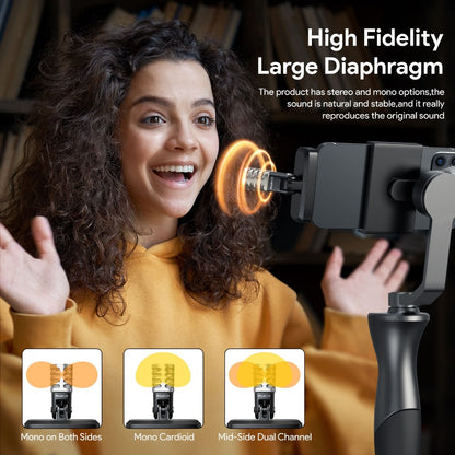 Recording Microphone, Portable, Cardioid, PALOVUE, MFi for Recording and Streaming