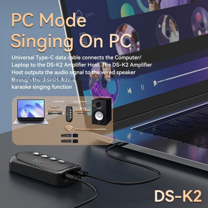 Portable Karaoke System, Stereo, RGB, Wireless, VAORLO, DS-K2, Machine for Parties