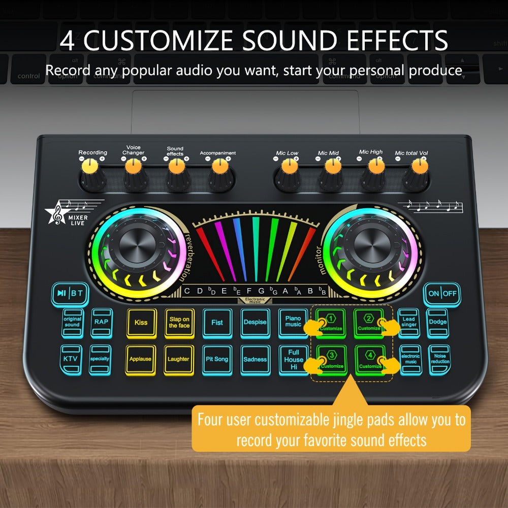 Portable Karaoke System, Condenser, Wireless, USB, Sound, Card, Professional for Parties