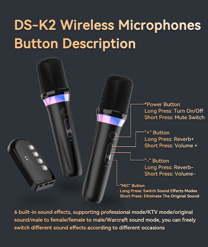 Portable Karaoke System, Stereo, RGB, Wireless, VAORLO, DS-K2, Machine for Parties
