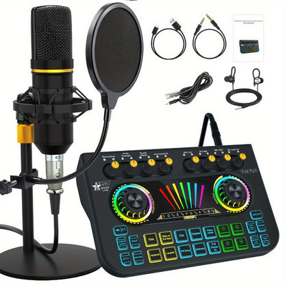 Portable Karaoke System, 36V, USB, Rechargeable, Professional, Podcast for Parties