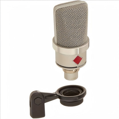 Recording Microphone, Noise Cancelling, Condenser, TLM, 102 for Recording and Streaming