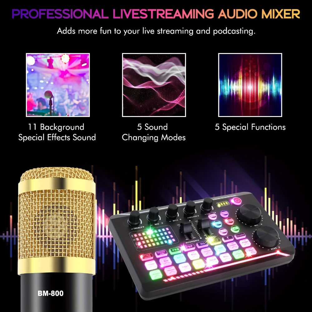 USB Audio Interface, V8K + BM800, USB-C, USB, Podcast, Equipment, Bundle for Recording