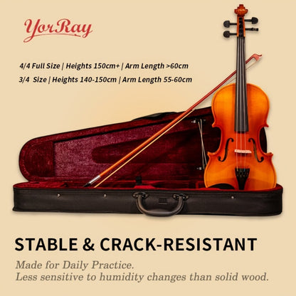 Full Size Violin, Full Size, Kit, Adults, Beginners for Lessons and Practice
