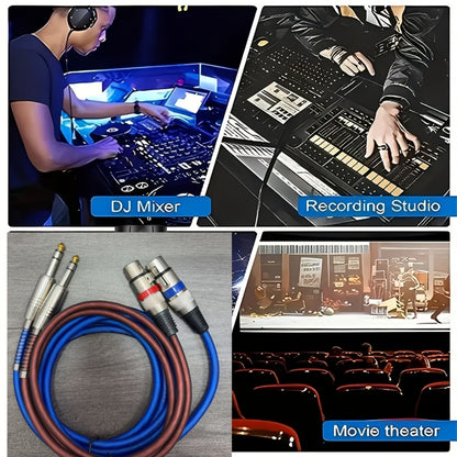 LED Stage Light, 6.5mm, 3 Feet, 2-Pack, High-Quality for Stage and Party Lighting