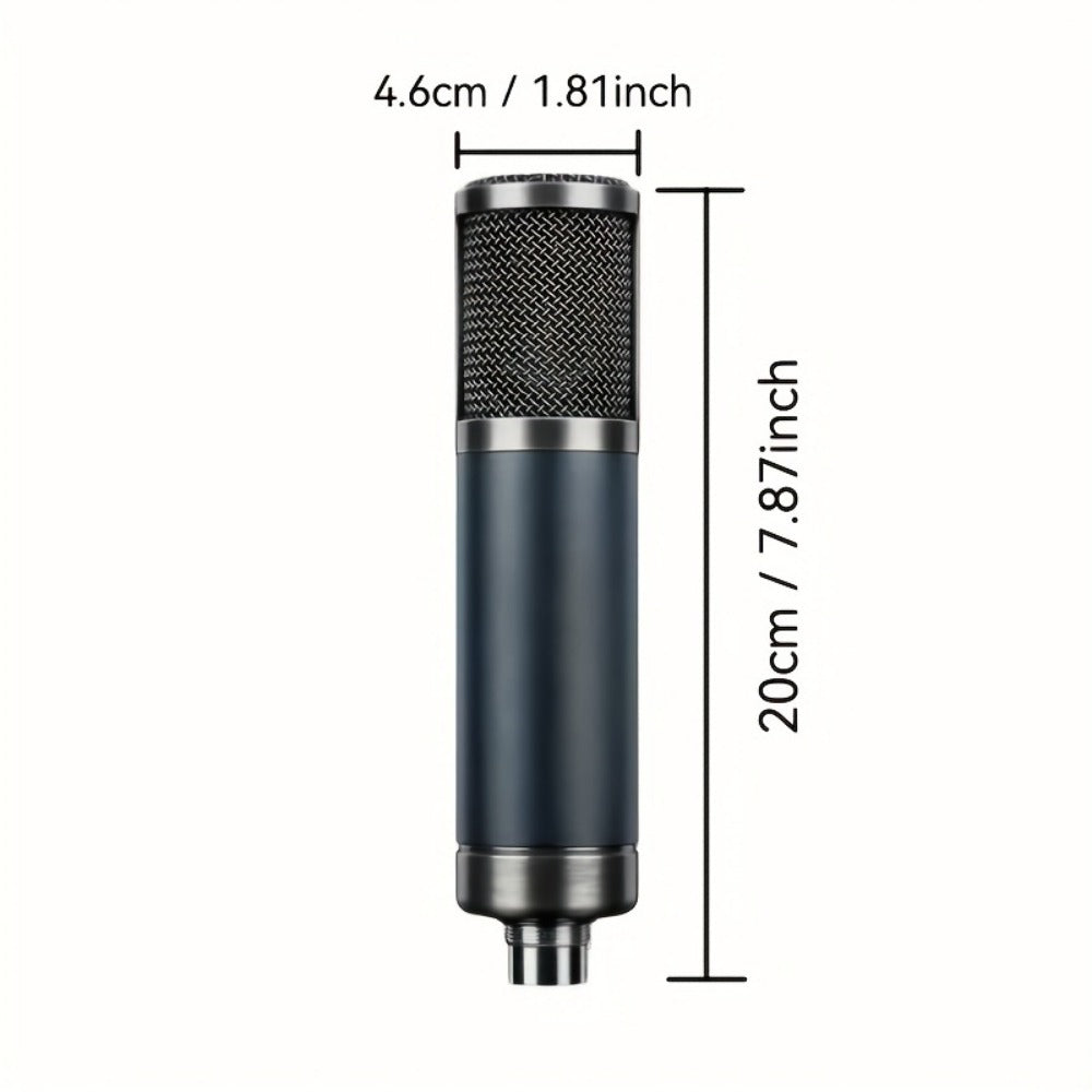 Recording Microphone, Cardioid, Condenser, F22, Metal for Recording and Streaming