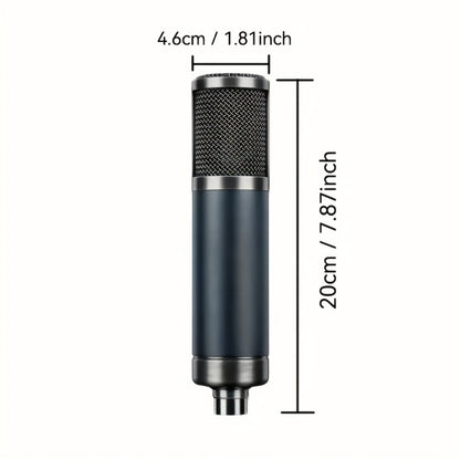 Recording Microphone, Cardioid, Condenser, F22, Metal for Recording and Streaming