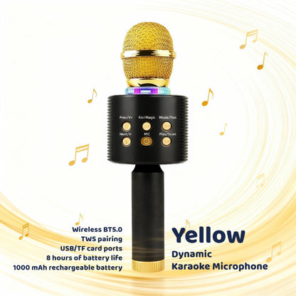 Portable Karaoke System, Rechargeable, Wireless, Limited, Time for Parties and Karaoke