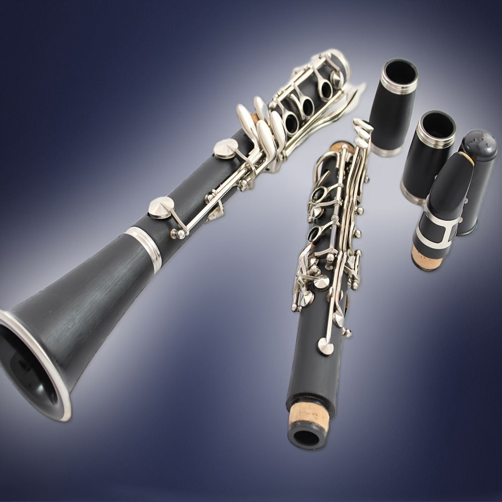 B-Flat Clarinet, HOGSN, 17-Key, Black for Lessons and Practice