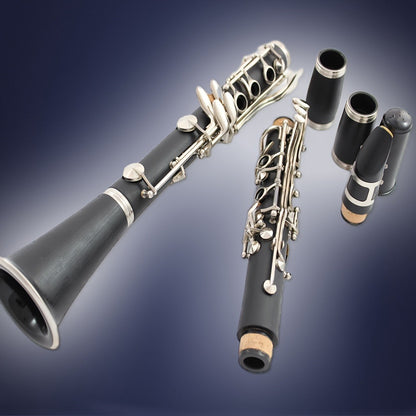 B-Flat Clarinet, HOGSN, 17-Key, Black for Lessons and Practice
