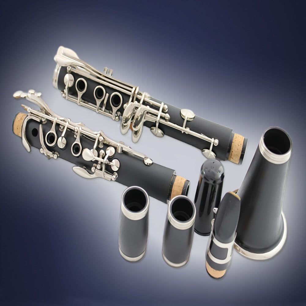 B-Flat Clarinet, HOGSN, 17-Key, Black for Lessons and Practice