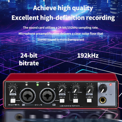 2-Channel USB Audio Interface, 24-Bit/192kHz with 48V Phantom Power
