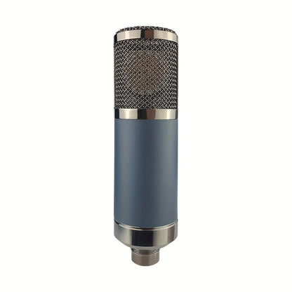 Recording Microphone, Cardioid, Condenser, F22, Metal for Recording and Streaming