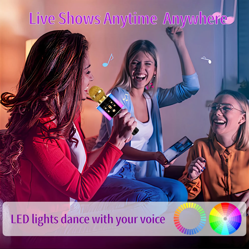 Portable Karaoke System, Rechargeable, Wireless, Limited, Time for Parties and Karaoke