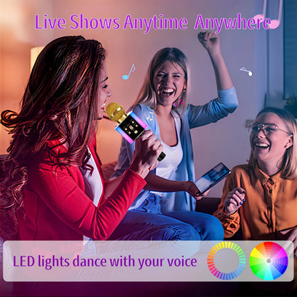 Portable Karaoke System, Rechargeable, Wireless, Limited, Time for Parties and Karaoke