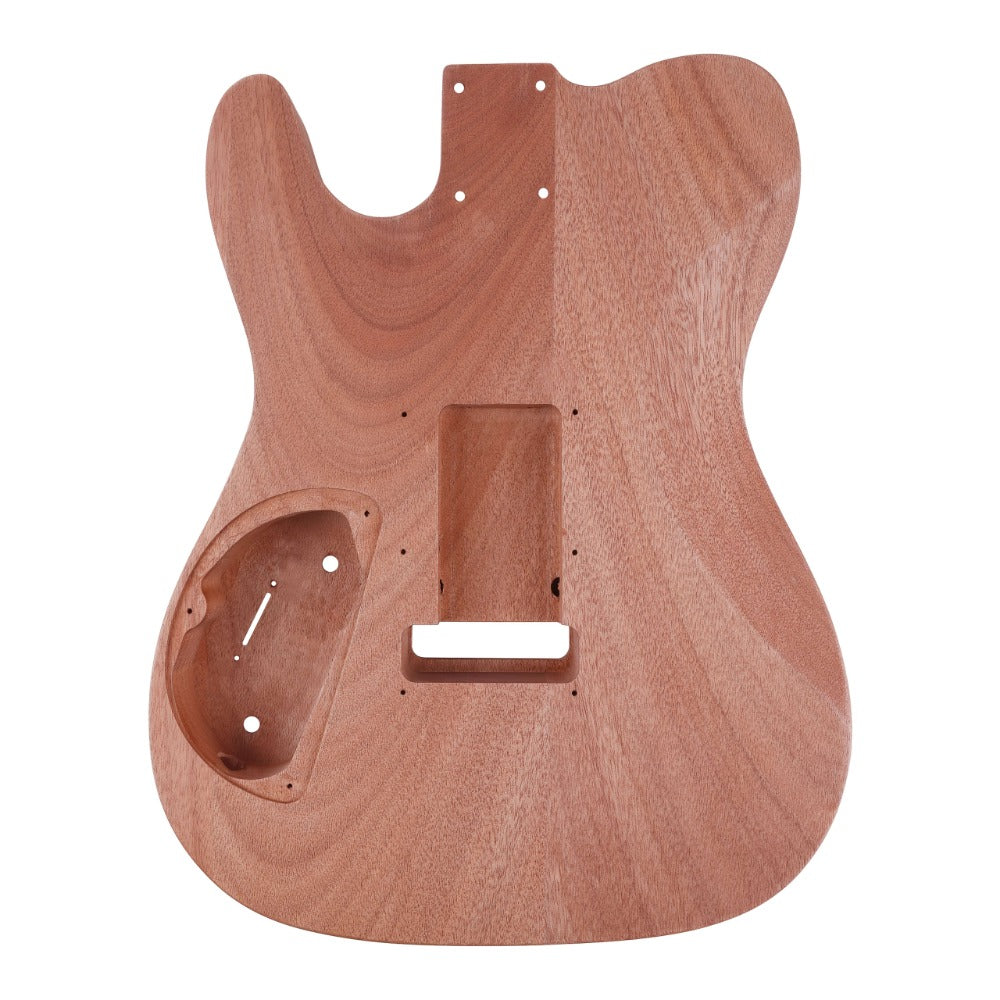Electric Guitar, DIY TL, Leo, Jaymz, Kit for Lessons and Practice for Home Practice