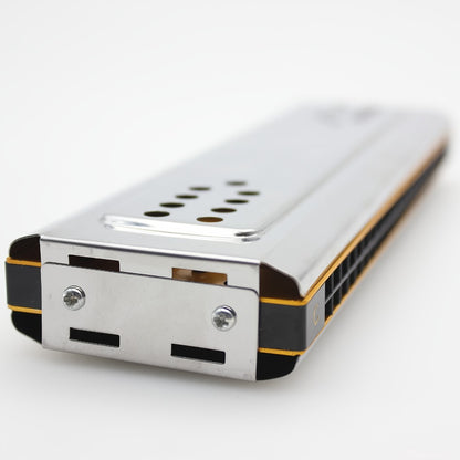 Blues Harmonica, Swan, 24-Hole, Tuned for Blues Practice for Home Practice, Rehearsal