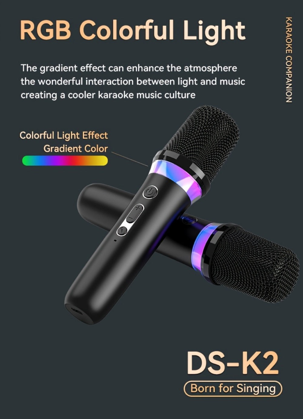 Portable Karaoke System, Stereo, RGB, Wireless, VAORLO, DS-K2, Machine for Parties