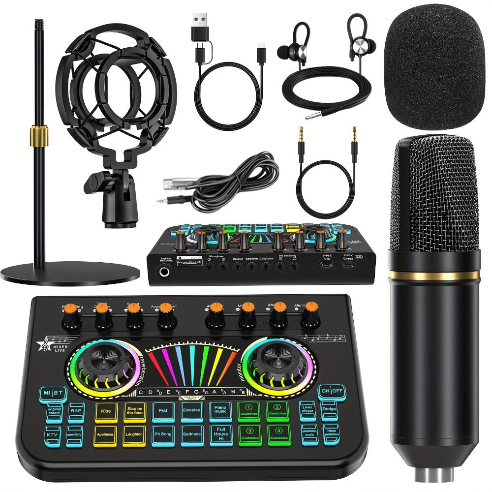 Portable Karaoke System, 36V, USB, Rechargeable, Professional, Podcast for Parties