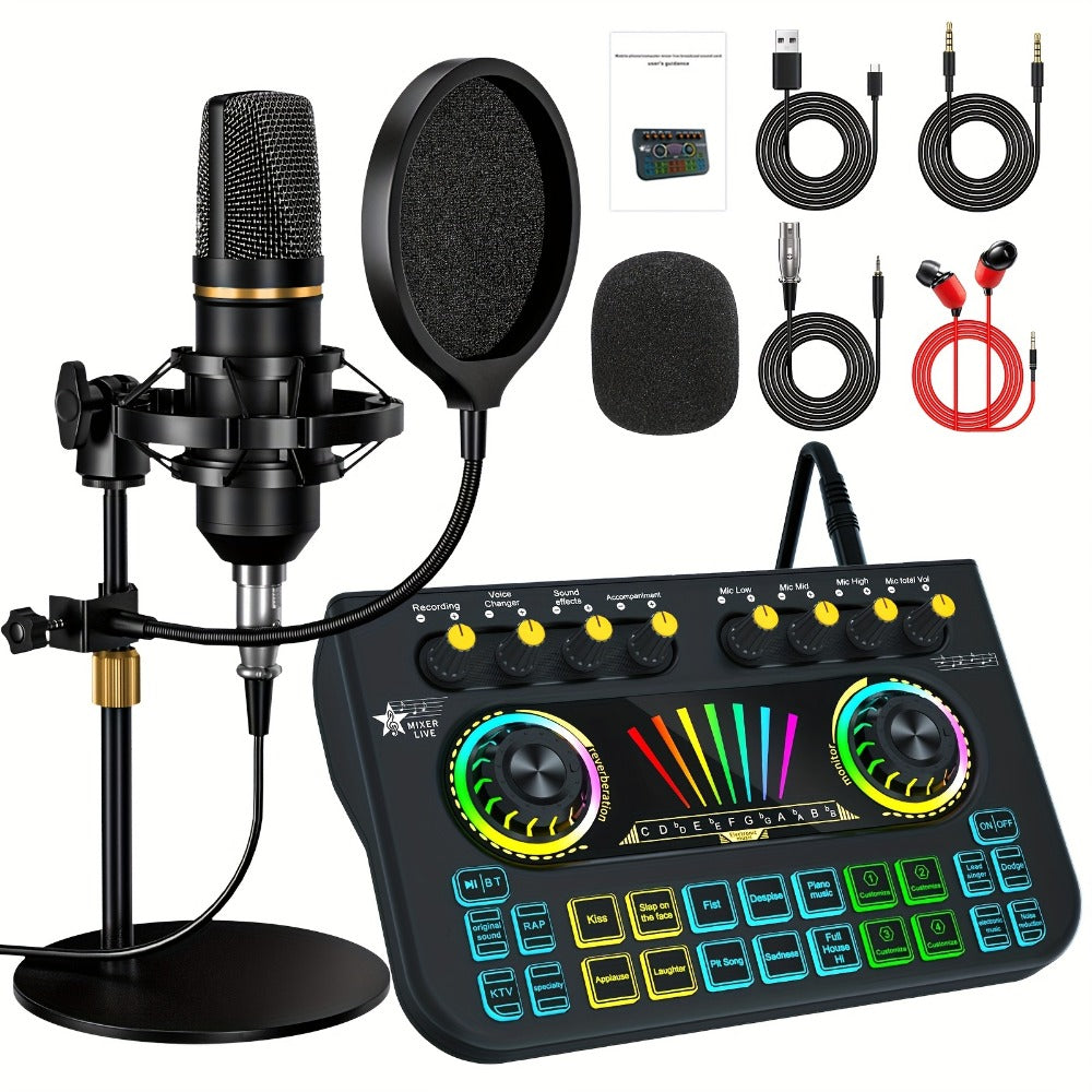 Portable Karaoke System, 36V, USB, Rechargeable, Professional, Podcast for Parties