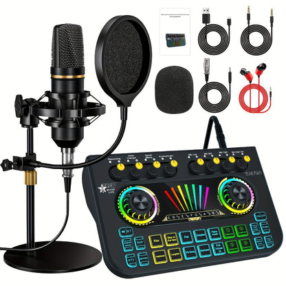 Portable Karaoke System, 36V, USB, Rechargeable, Professional, Podcast for Parties