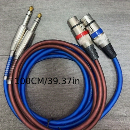 LED Stage Light, 6.5mm, 3 Feet, 2-Pack, High-Quality for Stage and Party Lighting