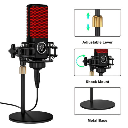 Portable Karaoke System, Wireless, USB, Podcast, Influencer, KOL for Parties and Karaoke
