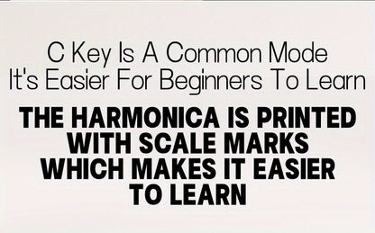 Professional Blues Harmonica 10 Hole C-Key Blues Harmonica, Comes with Hard Box, Suitable As a Gift for Beginners, Students, Adults, And Professionals, Comes with a Sanrio Sticker