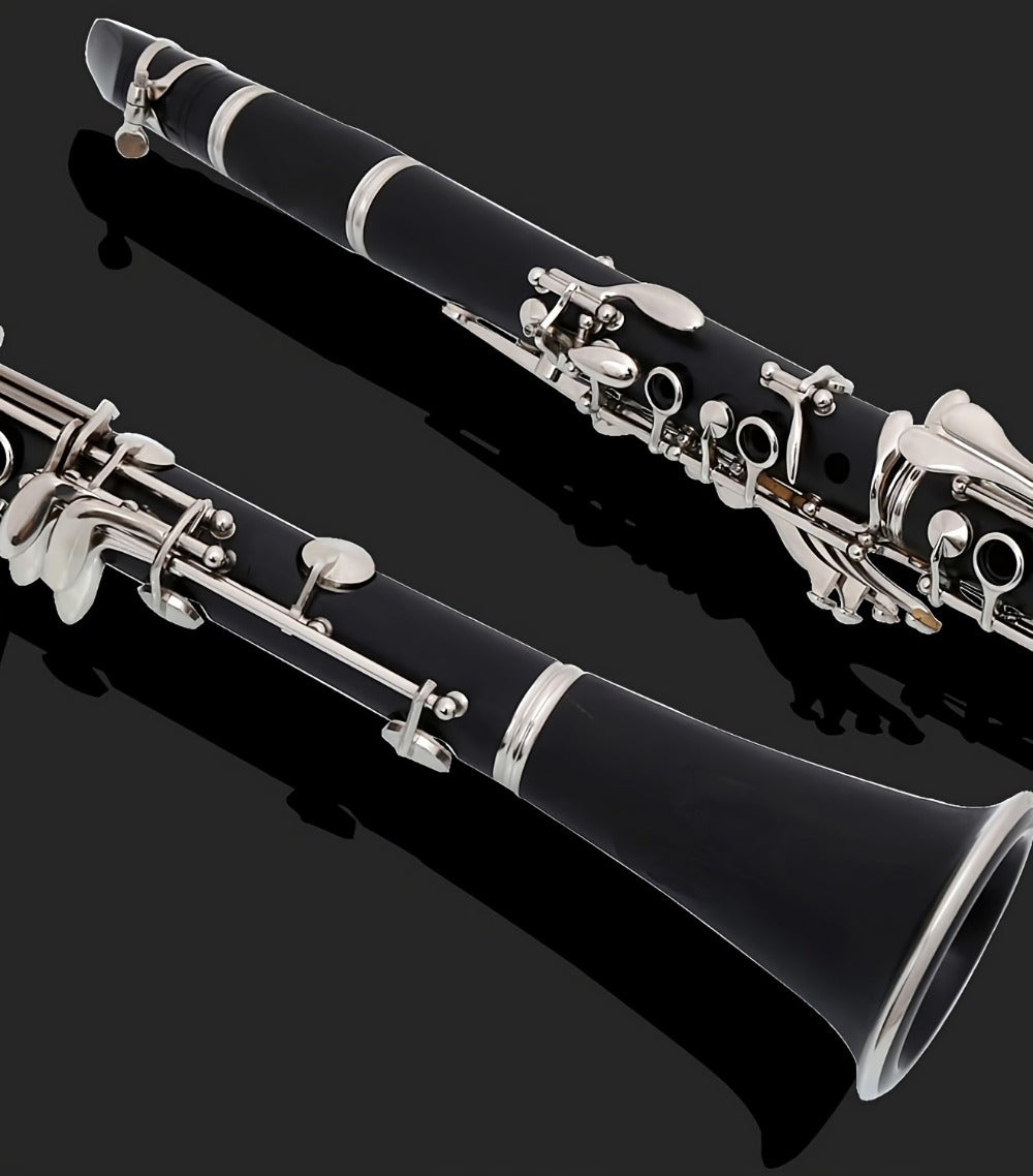 B-Flat Clarinet, HOGSN, 17-Key, Black for Lessons and Practice