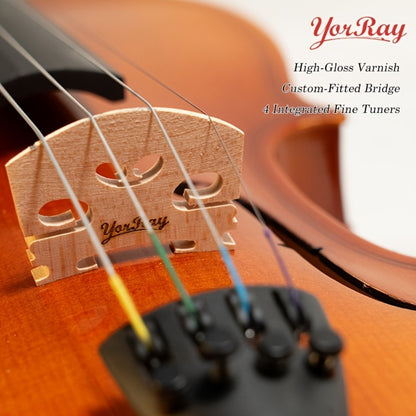 Full Size Violin, Full Size, Kit, Adults, Beginners for Lessons and Practice
