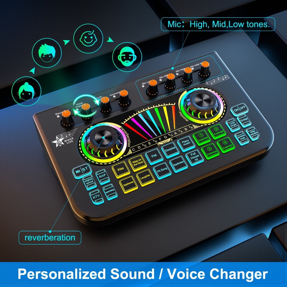 Portable Karaoke System, 36V, USB, Rechargeable, Professional, Podcast for Parties