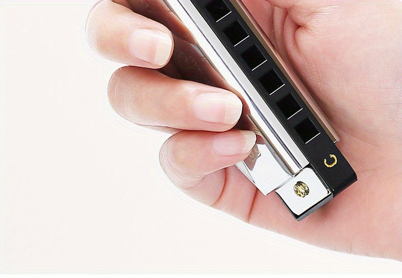 Professional Blues Harmonica 10 Hole C-Key Blues Harmonica, Comes with Hard Box, Suitable As a Gift for Beginners, Students, Adults, And Professionals, Comes with a Sanrio Sticker