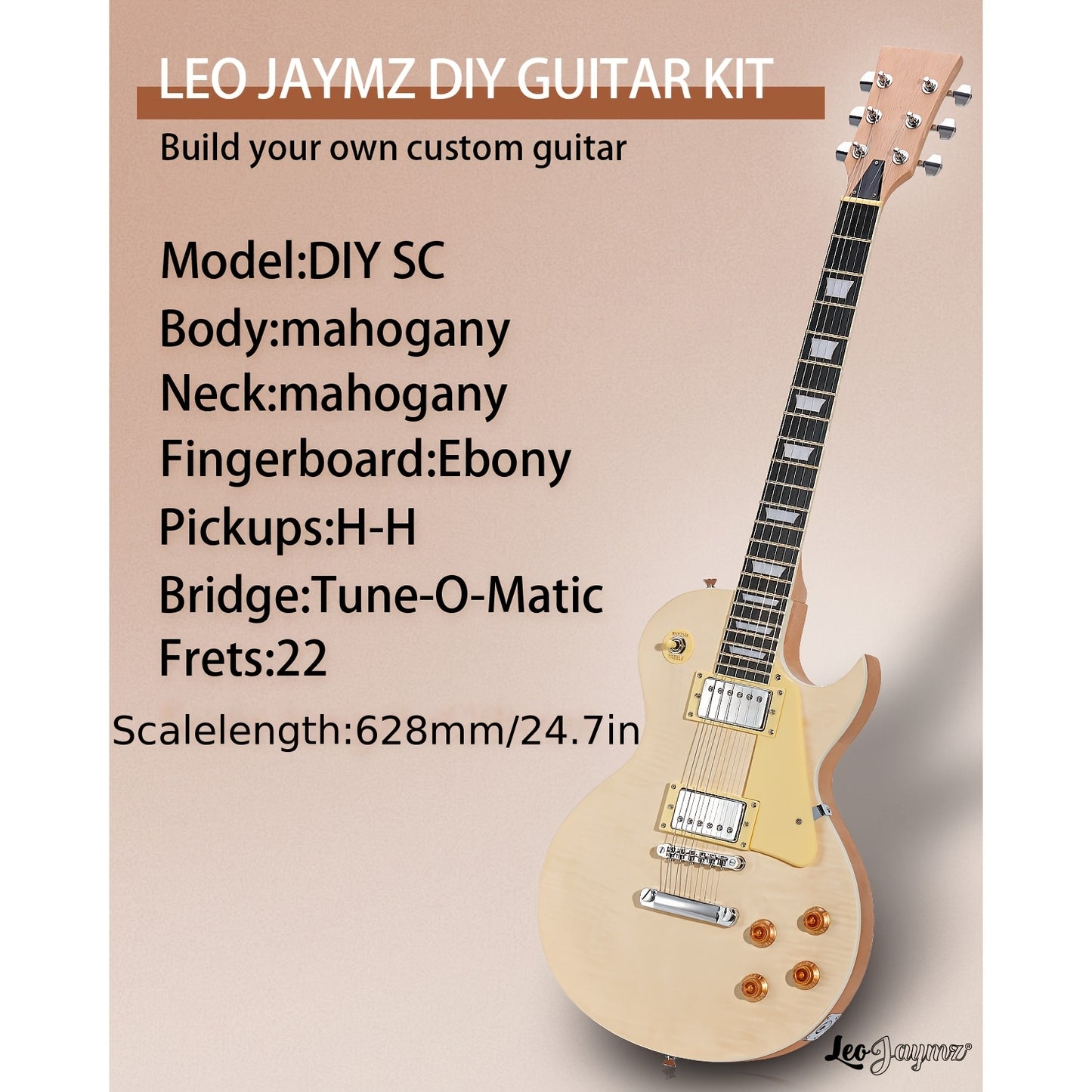 Leo Jaymz Electric Guitar Kits Multiple Model Options