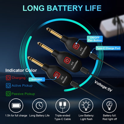 Wireless Instrument System, Rechargeable, 2.4 GHz Wireless for Wireless Connection Between