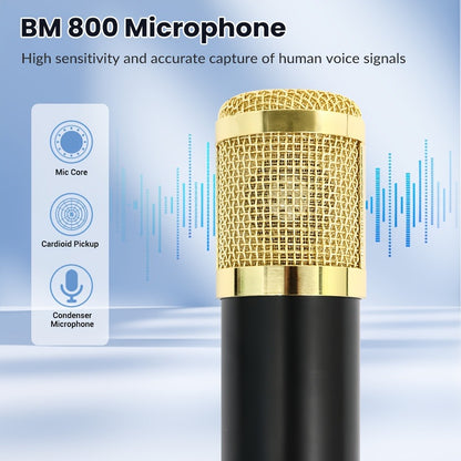 USB Audio Interface, V8K + BM800, USB-C, USB, Podcast, Equipment, Bundle for Recording