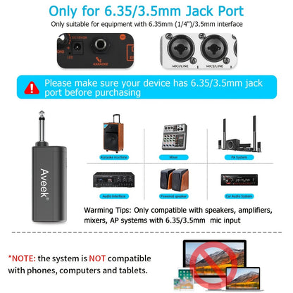 Wireless Karaoke Microphone, Wireless, USB-C, Aveek, Dynamic for Portable Singing