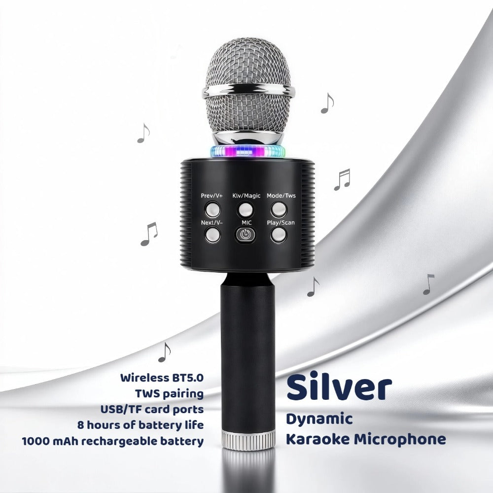 Portable Karaoke System, Rechargeable, Wireless, Limited, Time for Parties and Karaoke