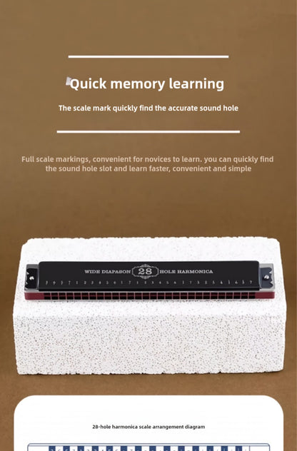 Blues Harmonica, 28-Hole, Professional, Black/ for Blues Practice